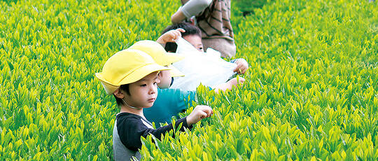 ページビジュアル